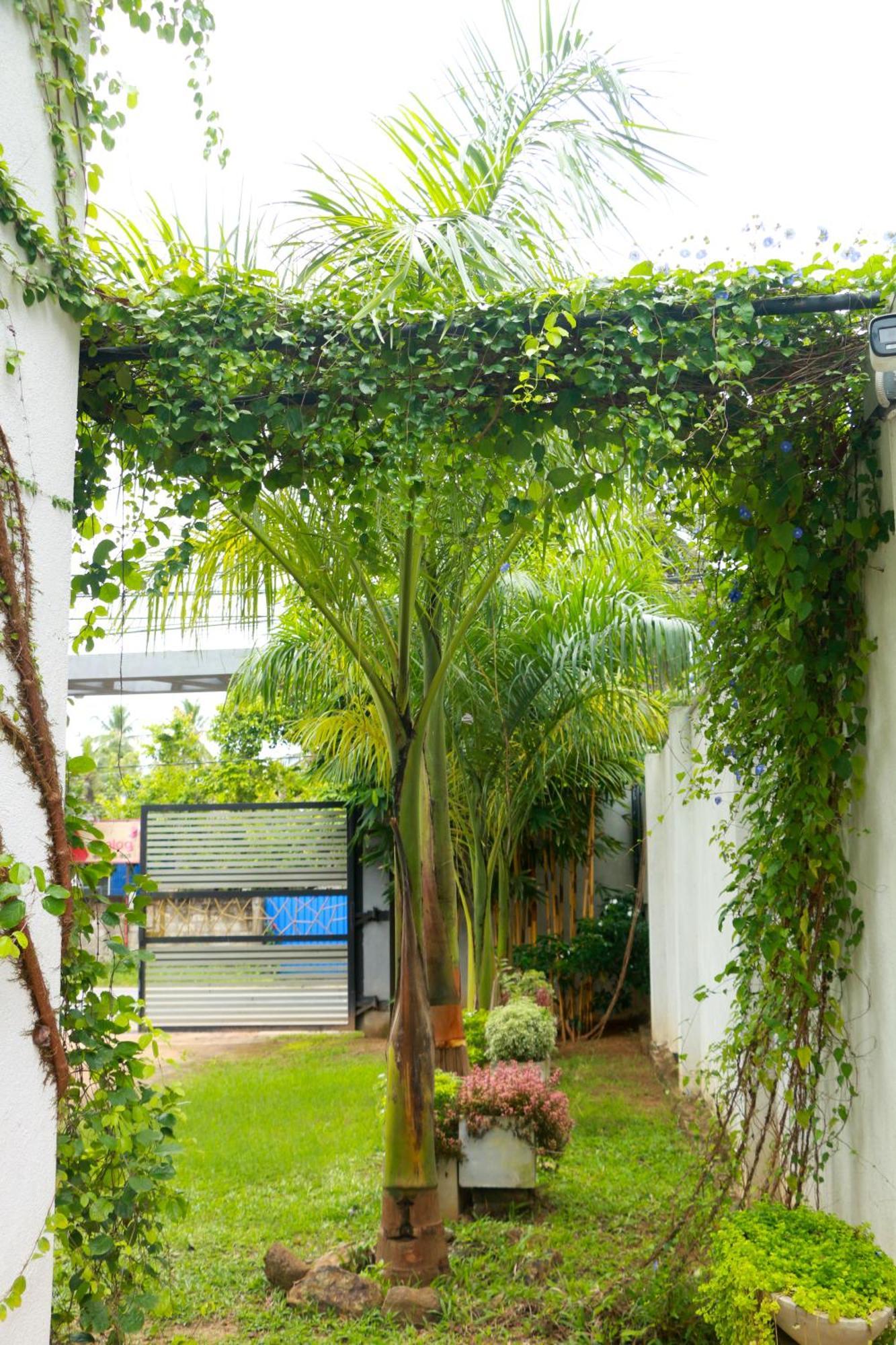 Venus Heaven Luxurious Villa Tangalle Exterior photo